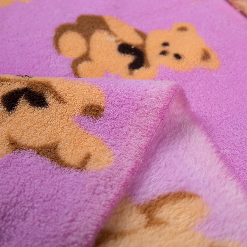 Double-Sided Printed Polyester Coral Velvet